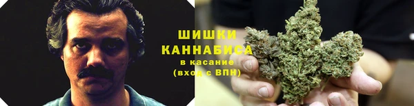 гидра Беломорск